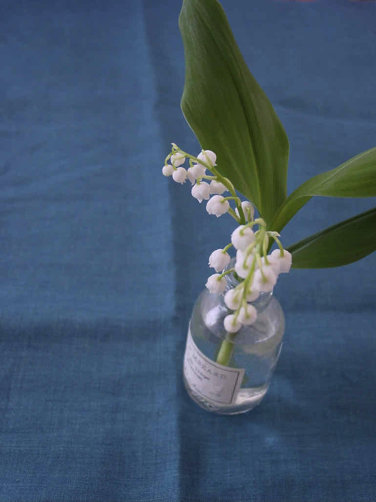 LINNET Linen chambray  Ruisseau